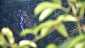 Unclassified image, 2 of 34, button - Ella Village View Homestay (Ella)