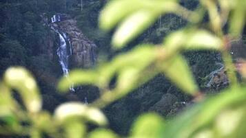 Bagian depan properti