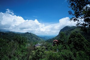 Front of property - Ella Village View Homestay (Ella)
