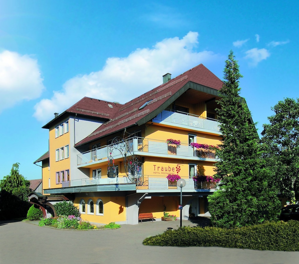 Hotel Traube Lossburg image