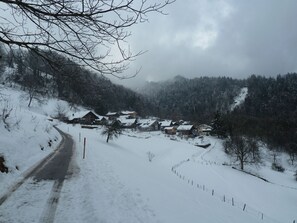 Esports d'hivern i esquí