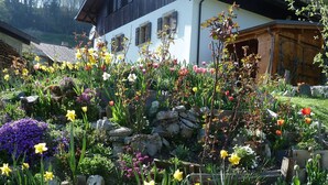 A garden with various flowers and a building with a sloped roof.