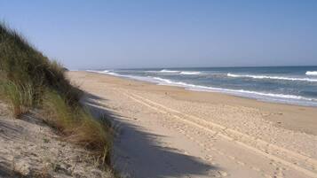 Beach nearby, sun loungers
