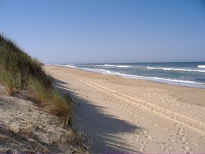 Playa en los alrededores y camastros