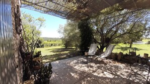 Un'area patio esterna con una pergola, due poltrone e piante in vaso.