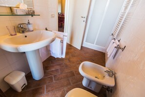 Shower, hair dryer, bidet, towels