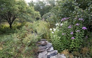 Property grounds - Highfields: a Northeast Kingdom Historic Farmhouse (Greensboro)