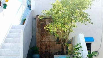 Sân vườn