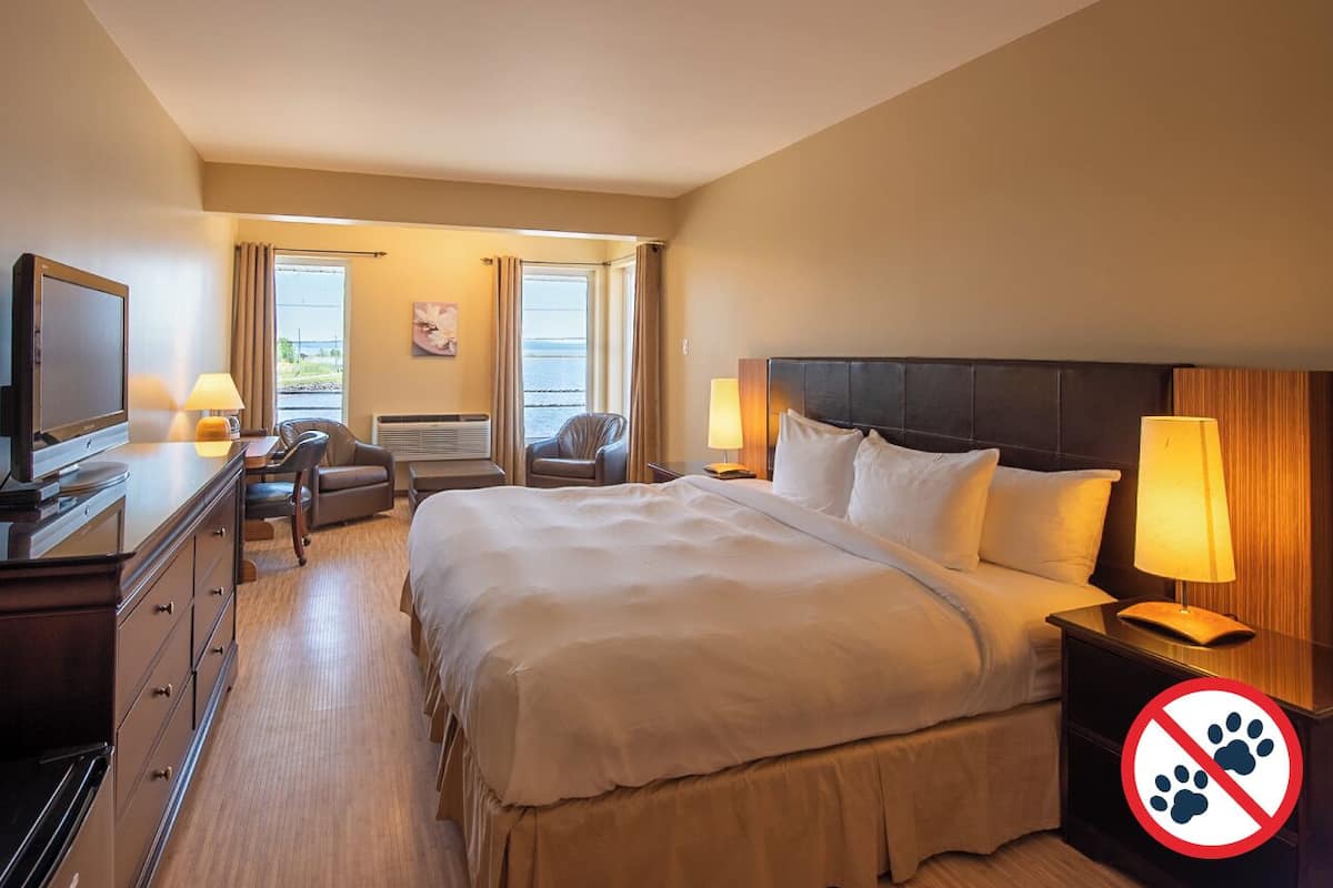 Ein Hotelzimmer mit einem großen Bett, einem Schreibtisch, einem Sessel, einem Fernseher und Blick ins Freie.