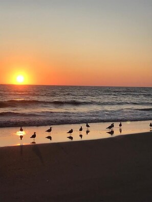 Enjoy a serene beach experience with calm waters and a peaceful atmosphere.