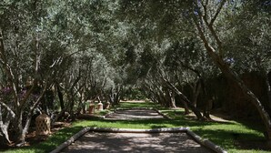 A pathway lined with trees leading to a covered area. - NEYLLA (Marrakech)