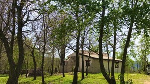 A rustic stone building surrounded by trees in a grassy area. - Cottage in Sardegna Barbagia (Fonni)