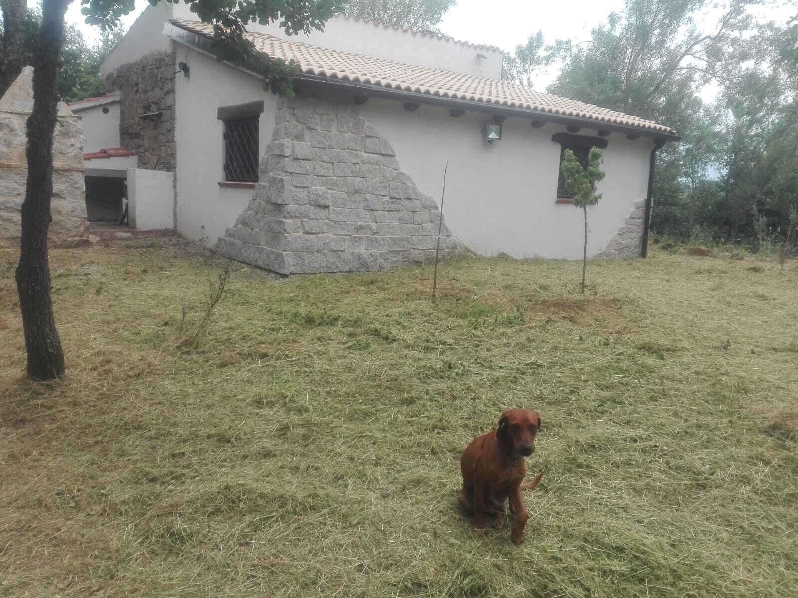 A rustic stone building with a tiled roof, surrounded by a grassy area.