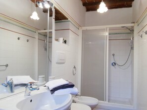Shower, hair dryer, bidet, towels