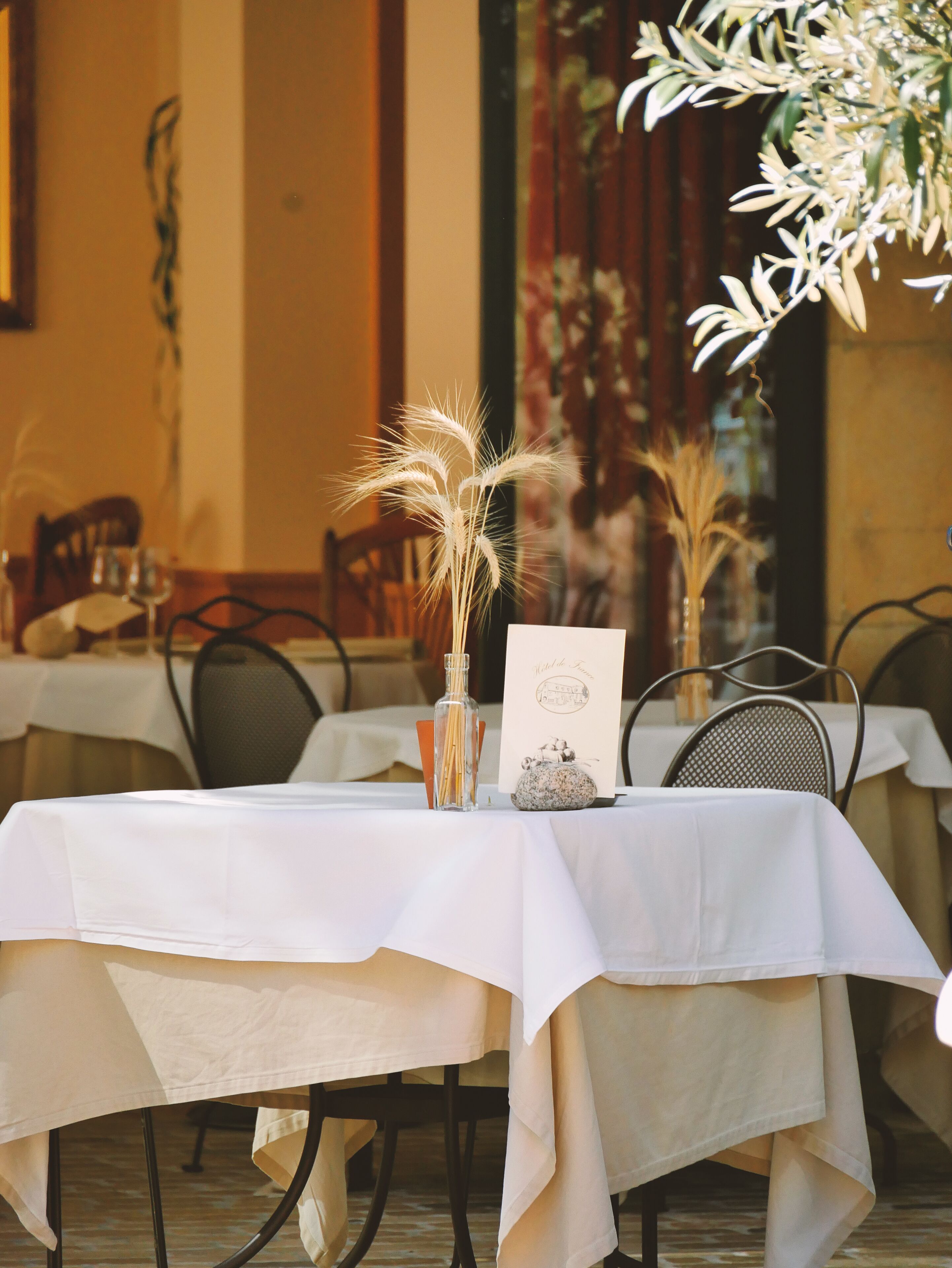 lunch and dinner served