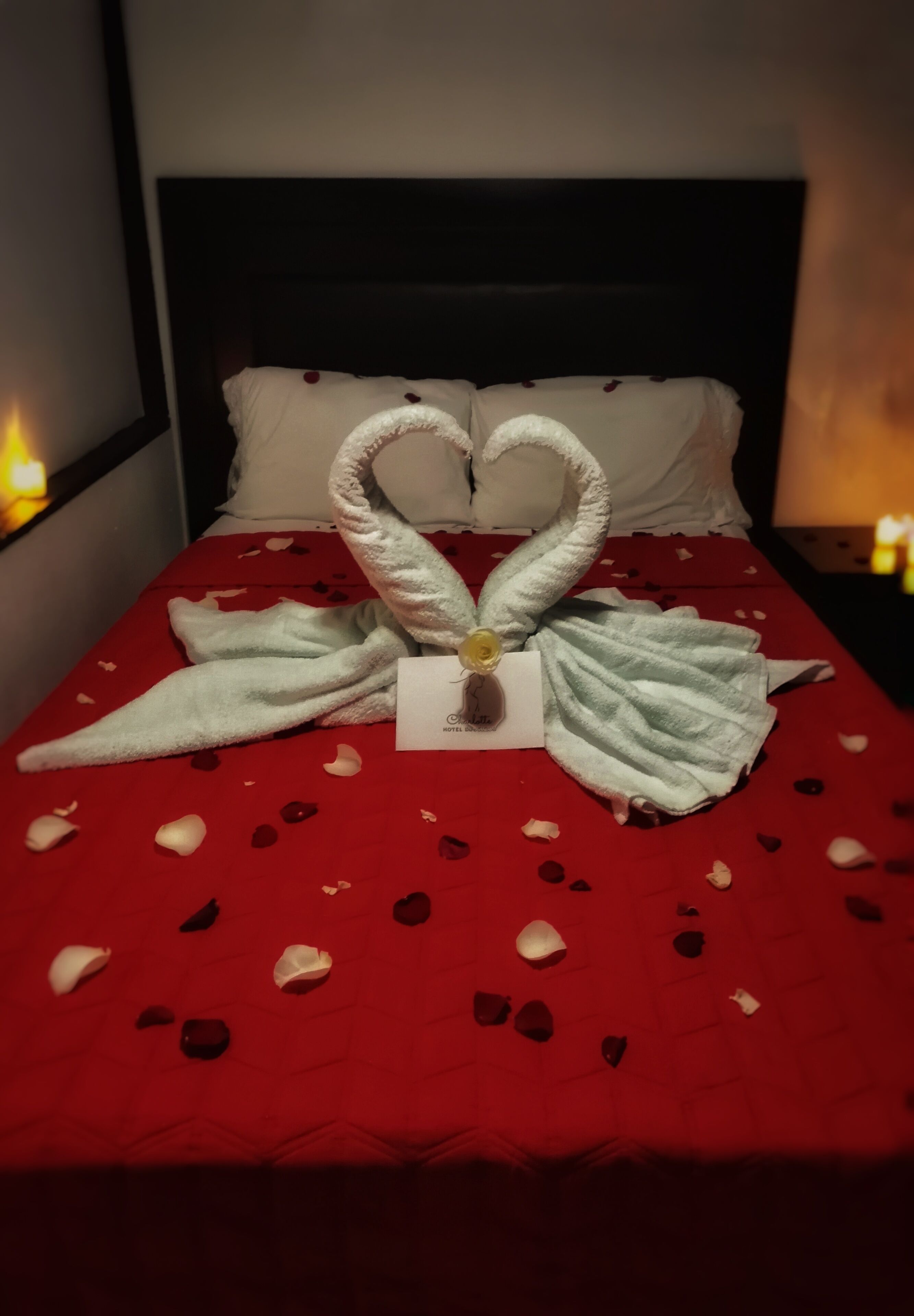 Daunenbettdecken, Select-Comfort-Betten, individuell dekoriert