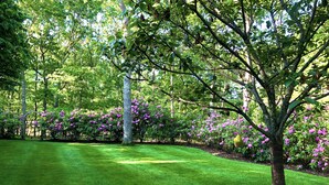 A well-maintained garden with a variety of flowering shrubs and a neatly trimmed lawn. - Beautiful Family Home Nestled In The Heart Of Sagaponack (Sagaponack)