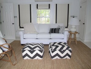 TV, fireplace, DVD player, books