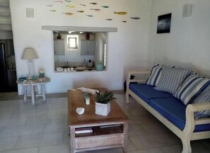 Fireplace, books - Beautiful architect villa NAOUSSA PAROS GREECE (Paros)
