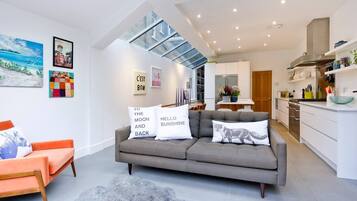 TV, fireplace, books