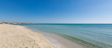 在海灘附近