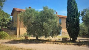 A rustic house with a tiled roof, surrounded by olive trees and a tall cypress tree.
