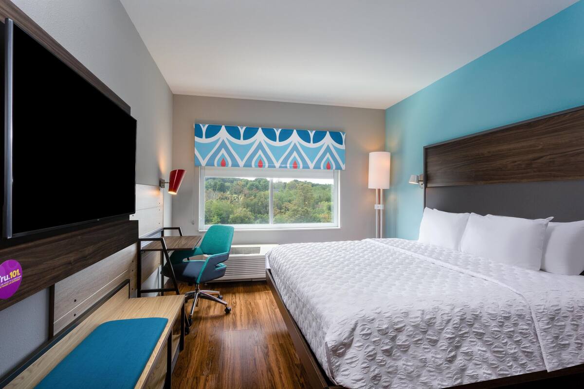 Habitación de hotel con cama, escritorio con silla, televisor y ventana con vista a follaje.
