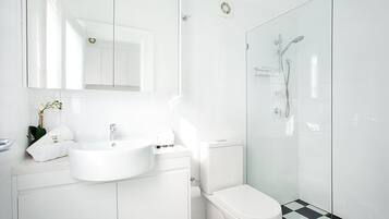 Shower, hair dryer, towels