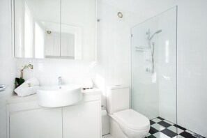 Shower, hair dryer, towels