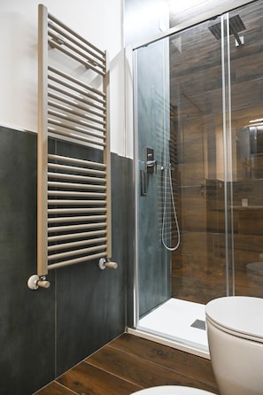 Shower, hair dryer, bidet, towels