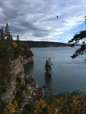 Botón de imagen sin clasificar, 3 de 39