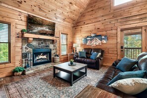 智能电视、壁炉、电子游戏、DVD 播放器