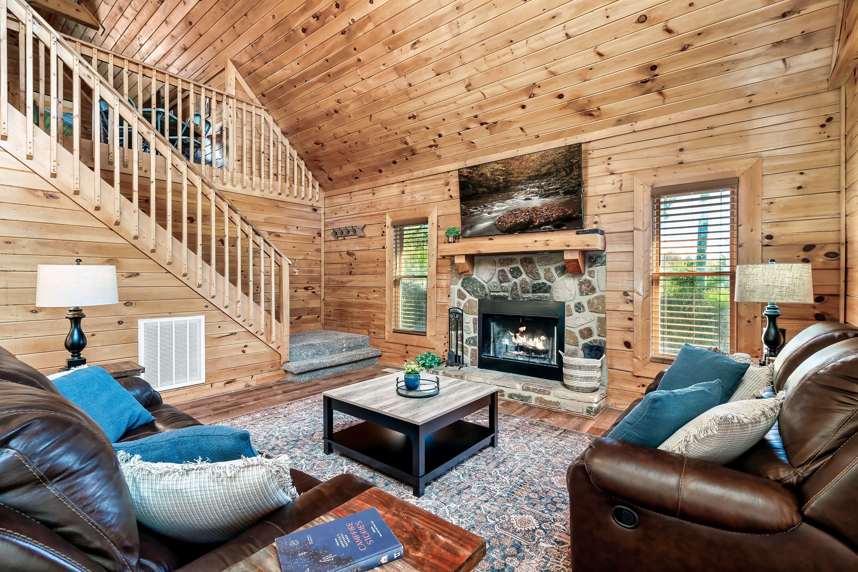 Smart TV, fireplace, video games, DVD player