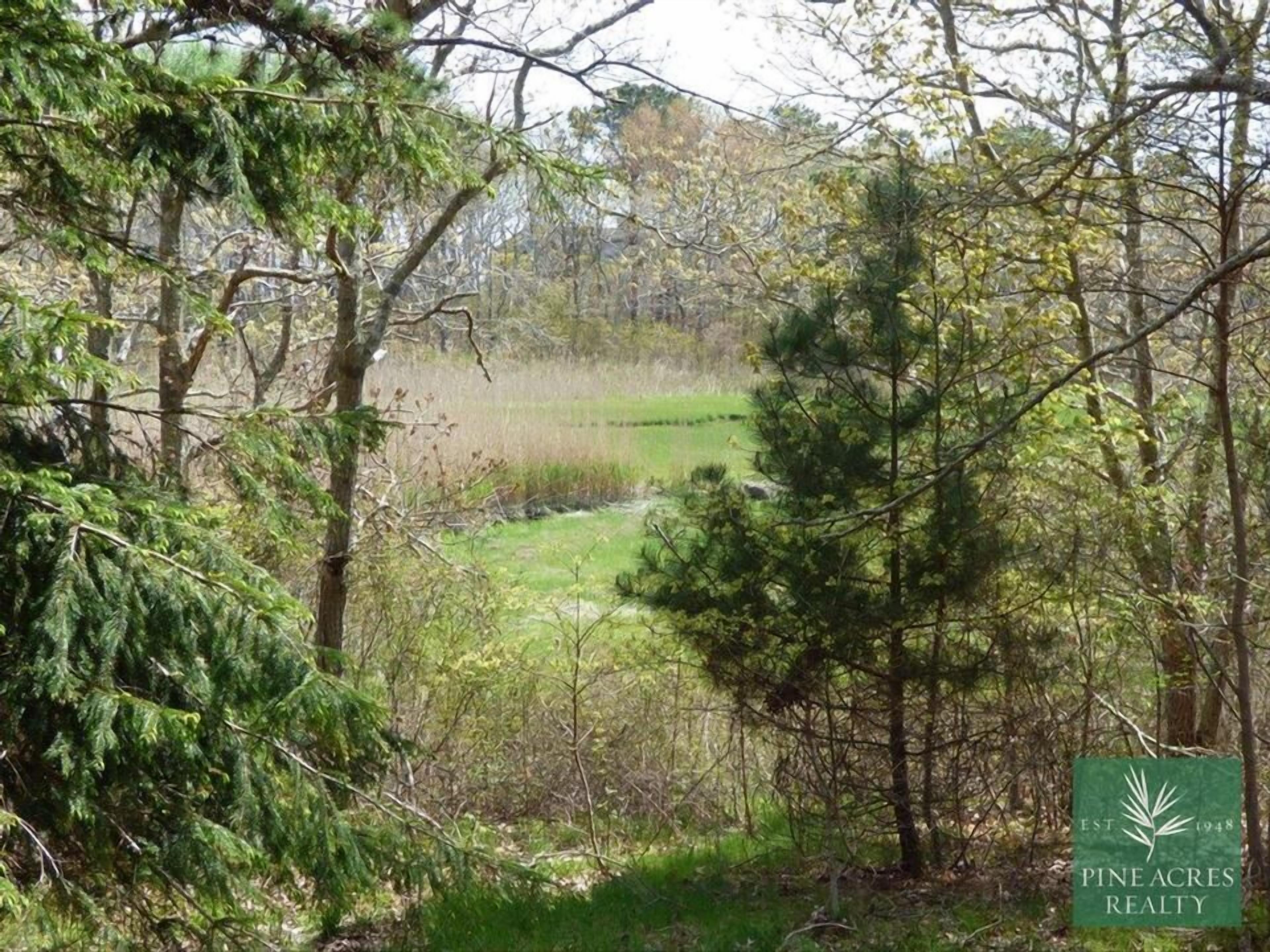 Zona boscosa con un letrero de Pine Acres Realty.