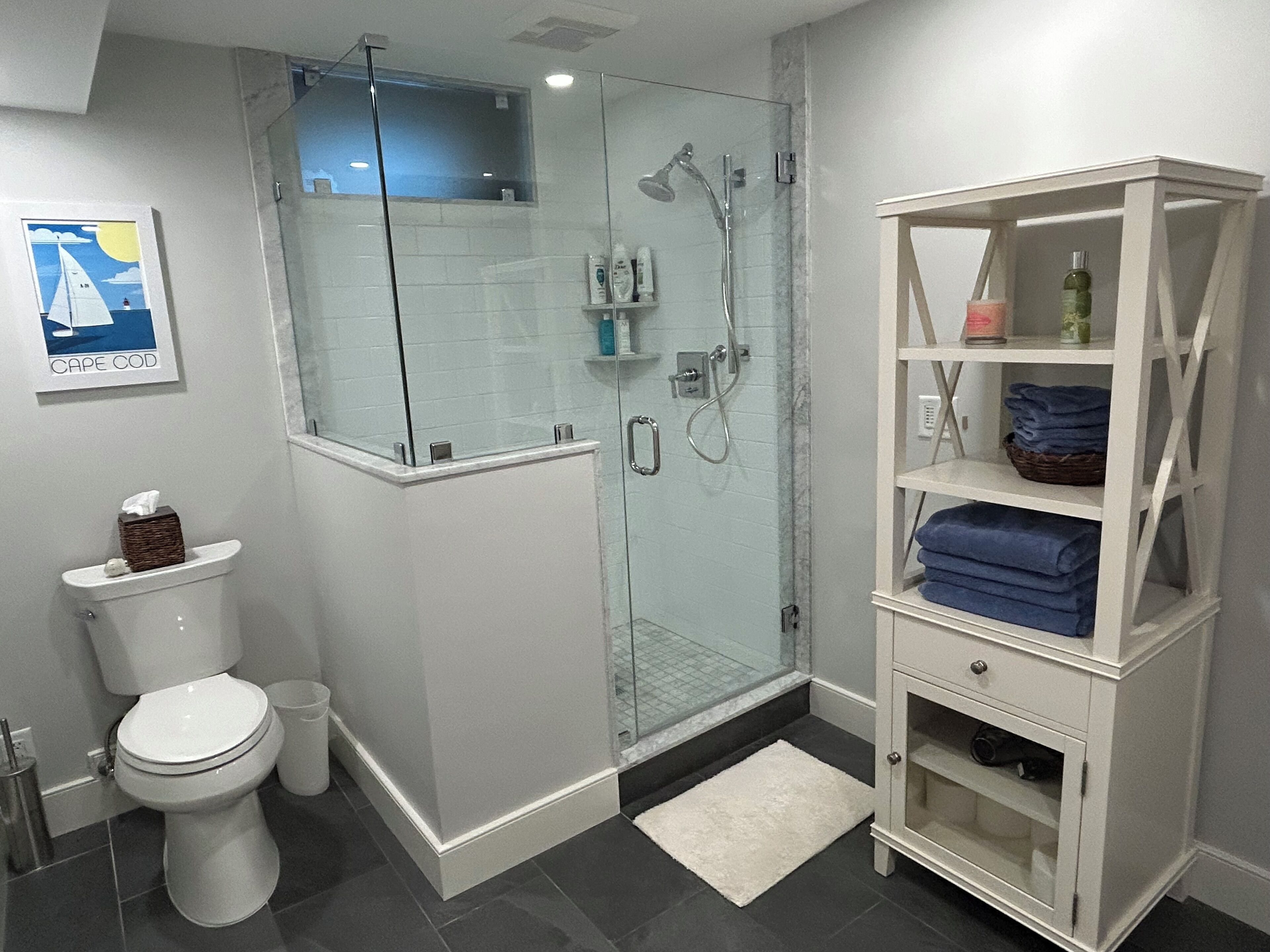 Un baño con ducha de mampara de vidrio, inodoro blanco, mueble blanco con estantes y un cuadro enmarcado en la pared.