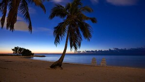 Una playa con una palmera y dos sillas.