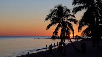 Escena de playa con palmeras y gente al atardecer.