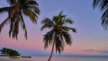 Una spiaggia nelle vicinanze, sabbia bianca