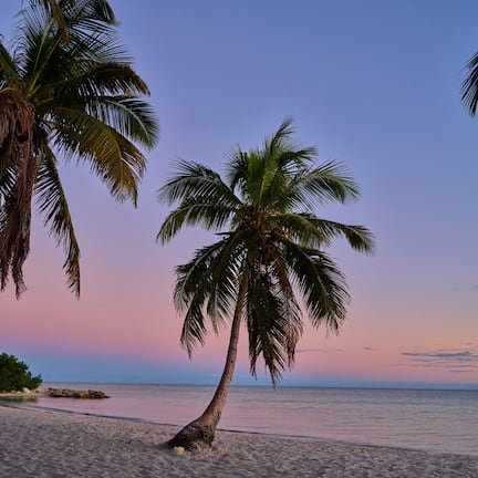 Beach nearby, white sand