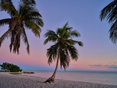 Margaritaville Beach House Key West - Image 1