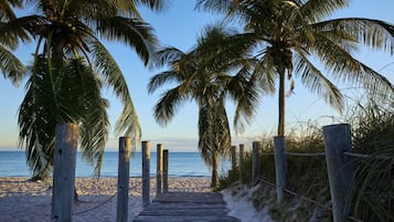A wooden pathway leading to a beach with palm trees.