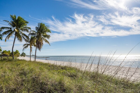 A beach with palm trees, a wooden structure, and a clear sky.