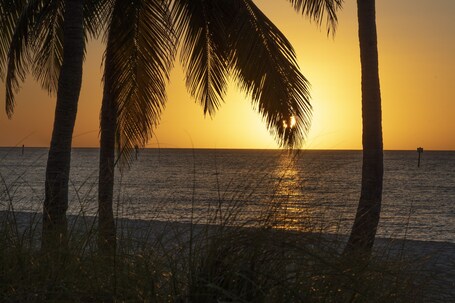 Margaritaville Beach House Key West - Image 4