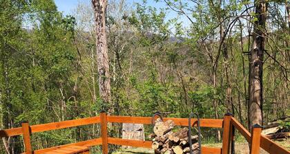 A new cabin only 1 mile from the heart of Gatlinburg!