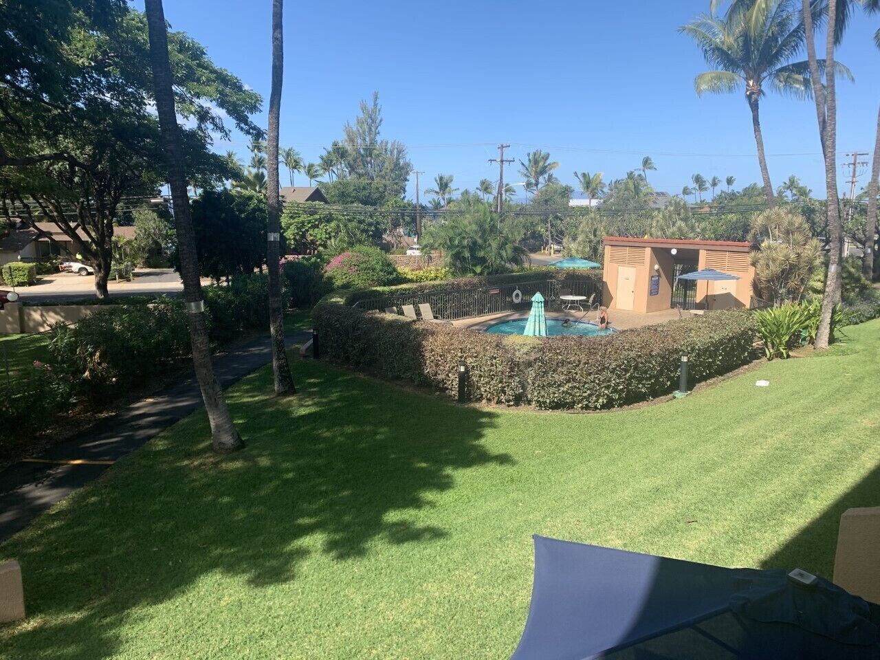 A well-maintained backyard with a swimming pool, palm trees, and a small building.