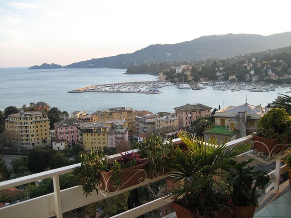 View from property - Filina (Rapallo)