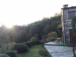 A stone building with a patio area, surrounded by dense forest and a clear sky.