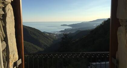 Vista Portofino