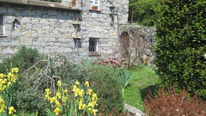 A stone building with multiple windows and a garden with yellow flowers. - Vista Portofino (Rapallo)