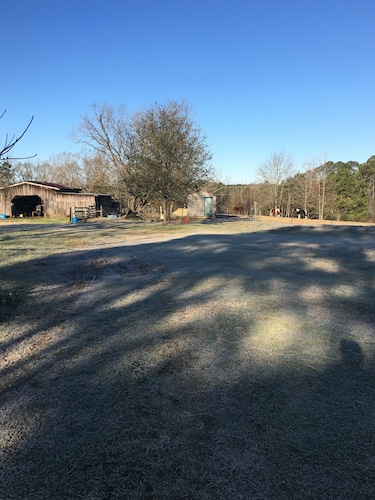 Maatila kotiin hevosten ja karjan kanssa.